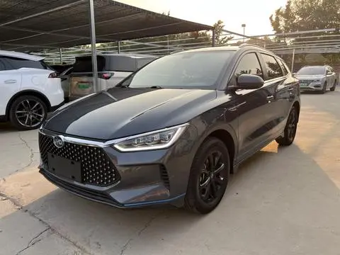 BYD e2 2019