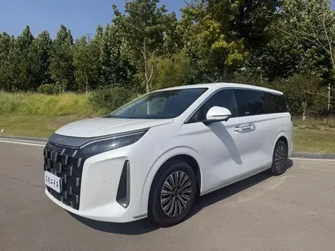 BYD M9 2025