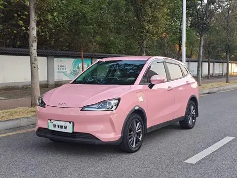 NETA V 2021
