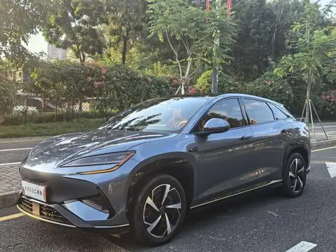 BYD 海狮07EV 2024