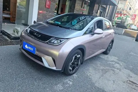 BYD Dolphin 2021