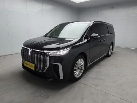 Voyah 梦想家 EV 2022