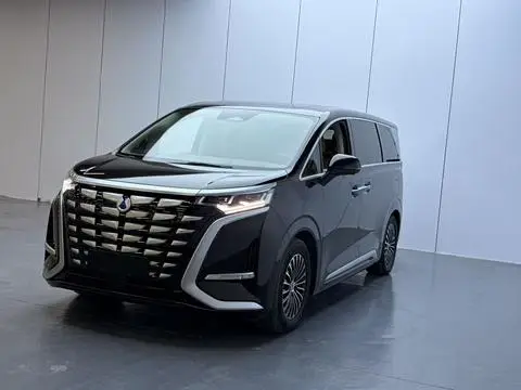 Denza D9 DM 2022