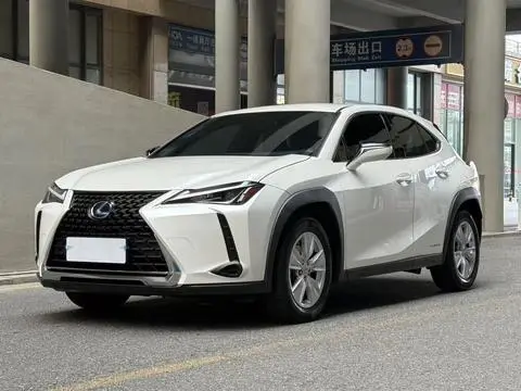 Lexus UX 2020 — фото 1