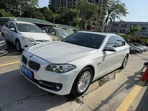 BMW 5 Series 2014 — фото 1