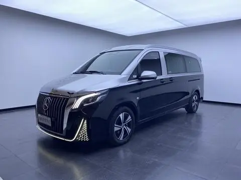 Mercedes-Benz 威霆 2024