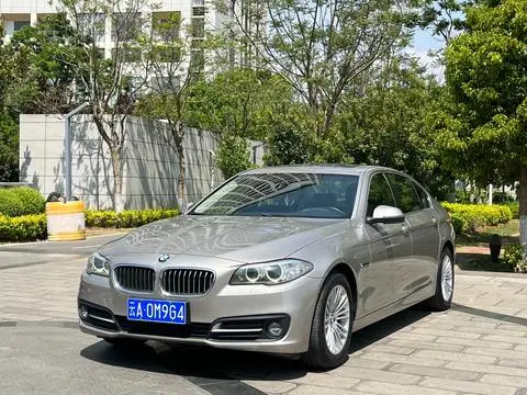 BMW 5 Series 2014 — фото 1