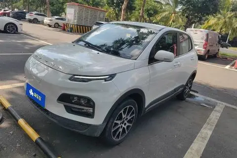 Dayun 悦虎 2022