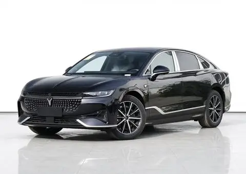 Voyah 追光 PHEV 2024