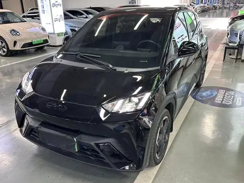 BYD Seagull 2024