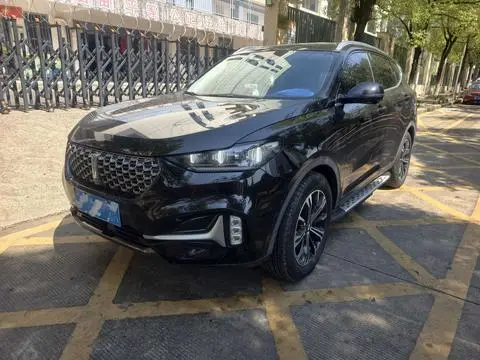 Wey VV6 2021