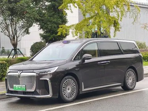 Voyah 梦想家 PHEV 2025