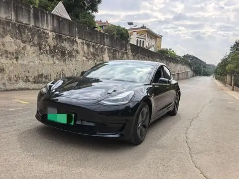 Tesla Model 3 2020