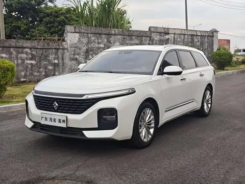 Baojun Valli 2021