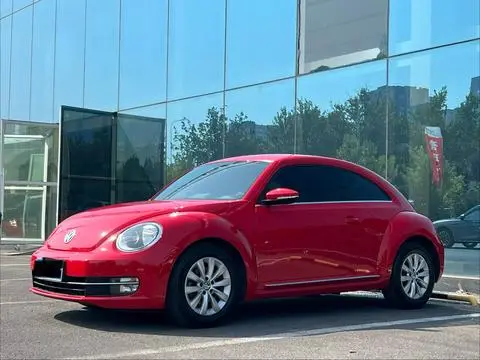 Volkswagen 甲壳虫 2013