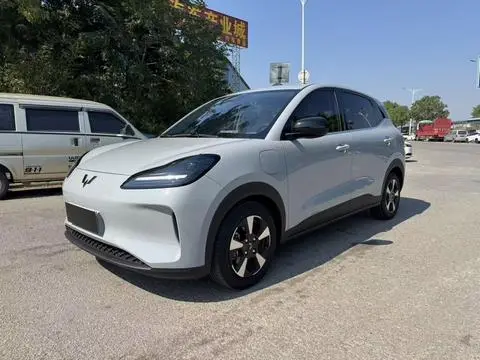 Wuling BingoPLUS 2024
