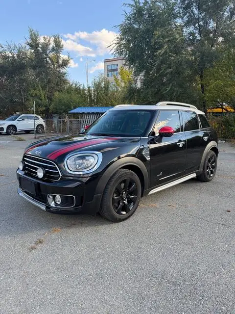 MINI COUNTRYMAN 2019