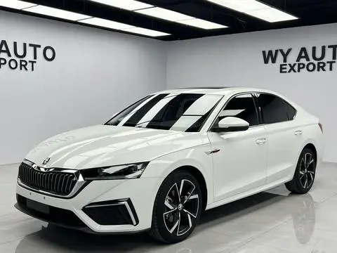 Skoda 明锐 2023