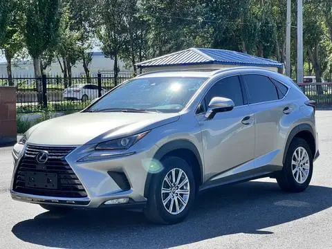 Lexus NX 2020 — фото 1