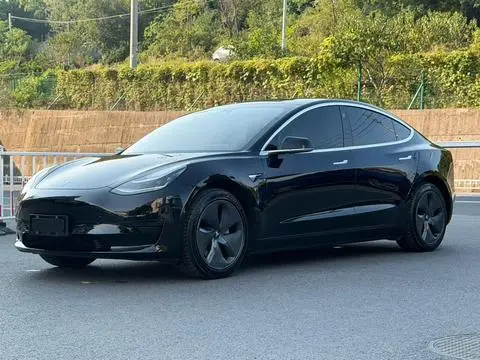 Tesla Model 3 2020 — фото 1