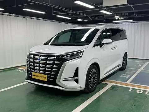 Denza D9 DM 2024