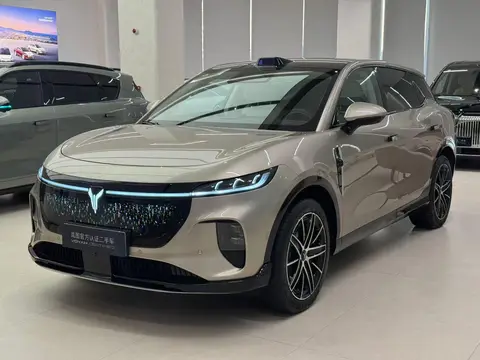 Voyah 知音 2025