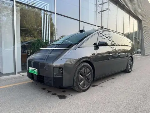 Li MEGA 2024