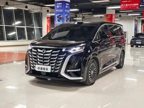 Denza D9 DM 2025