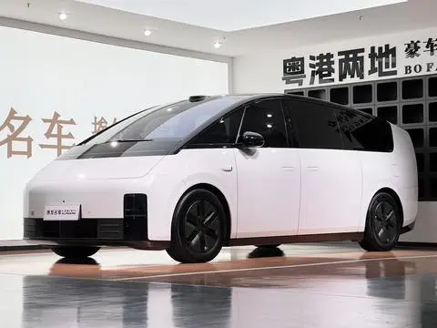 Li MEGA 2025
