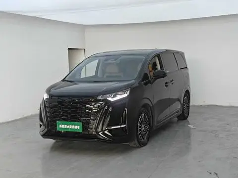 Denza D9 DM 2024