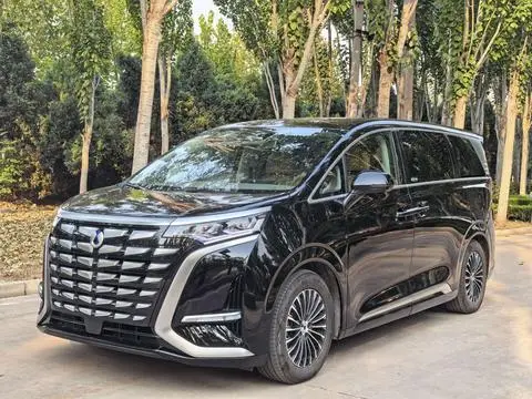 Denza D9 DM 2022