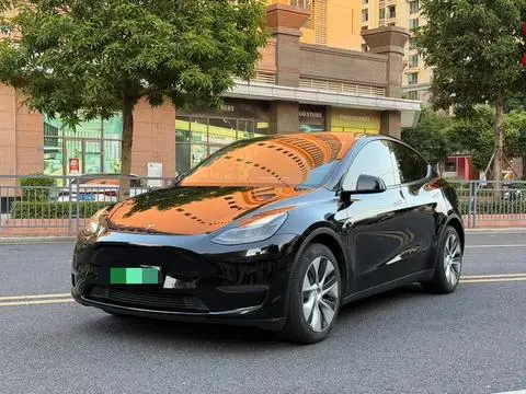 Tesla Model Y 2021 — фото 1