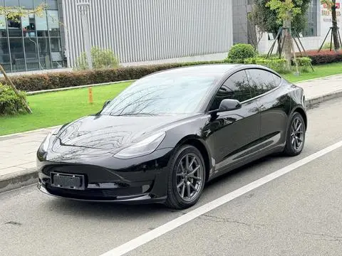 Tesla Model 3 2021 — фото 1