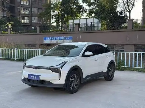 NETA U 2021