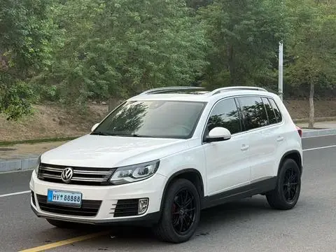 Volkswagen Tiguan 2013