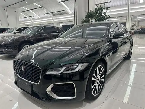 Jaguar XFL 2024