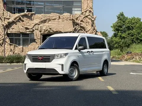 Wuling 征程 2021