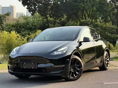 Tesla Model Y 2021 — фото 1