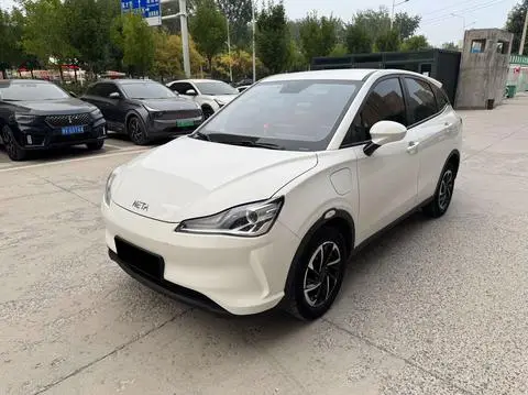 NETA V 2021