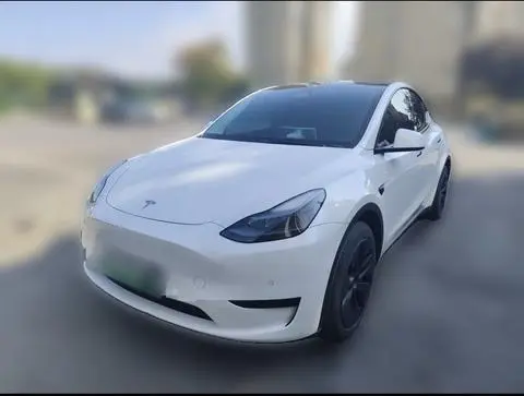Tesla Model Y 2023 — фото 1