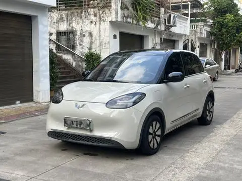 Wuling Bingo 2023