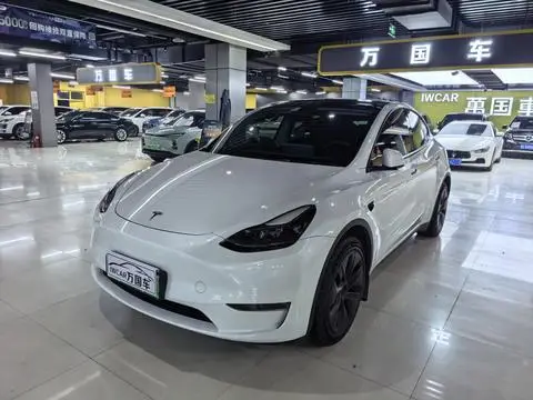 Tesla Model Y 2024 — фото 1