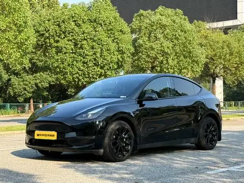 Tesla Model Y 2021 — фото 1