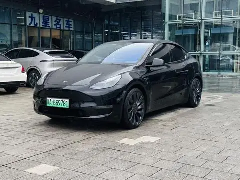 Tesla Model Y 2024