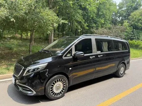 Mercedes-Benz 威霆 2018