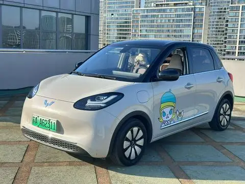Wuling Bingo 2024