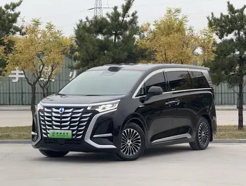 Denza D9 DM 2025
