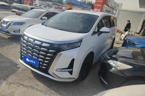 Denza D9 DM 2024