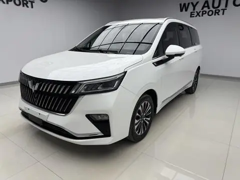 Wuling 佳辰 2022