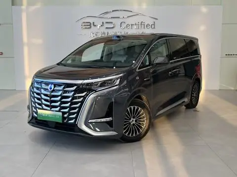 Denza D9 DM 2025
